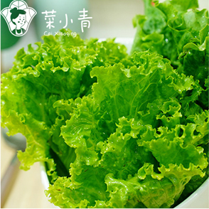菜小青麻辣烫菜谱