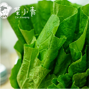 菜小青麻辣烫菜谱