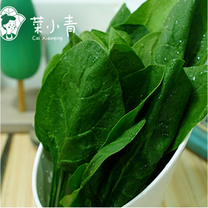 菜小青麻辣烫菜谱