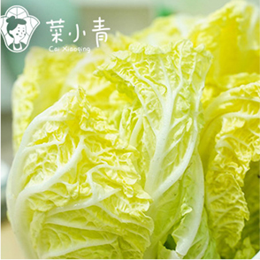 菜小青麻辣烫菜谱