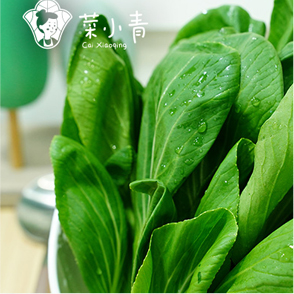 菜小青麻辣烫菜谱
