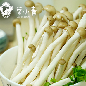 菜小青麻辣烫菜谱