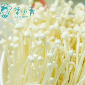 菜小青麻辣烫菜谱