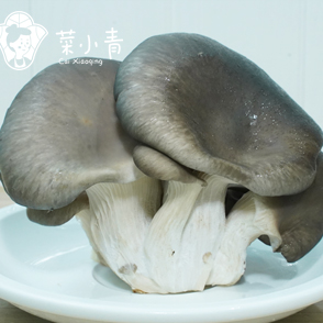 菜小青麻辣烫菜谱